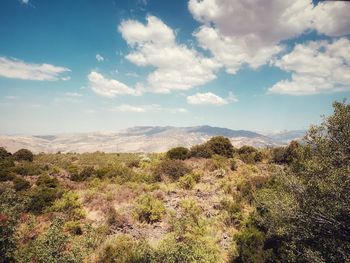 Scenic view of landscape against sky