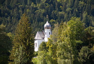 View of church amidst trees and building