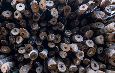 Full frame shot of logs in forest