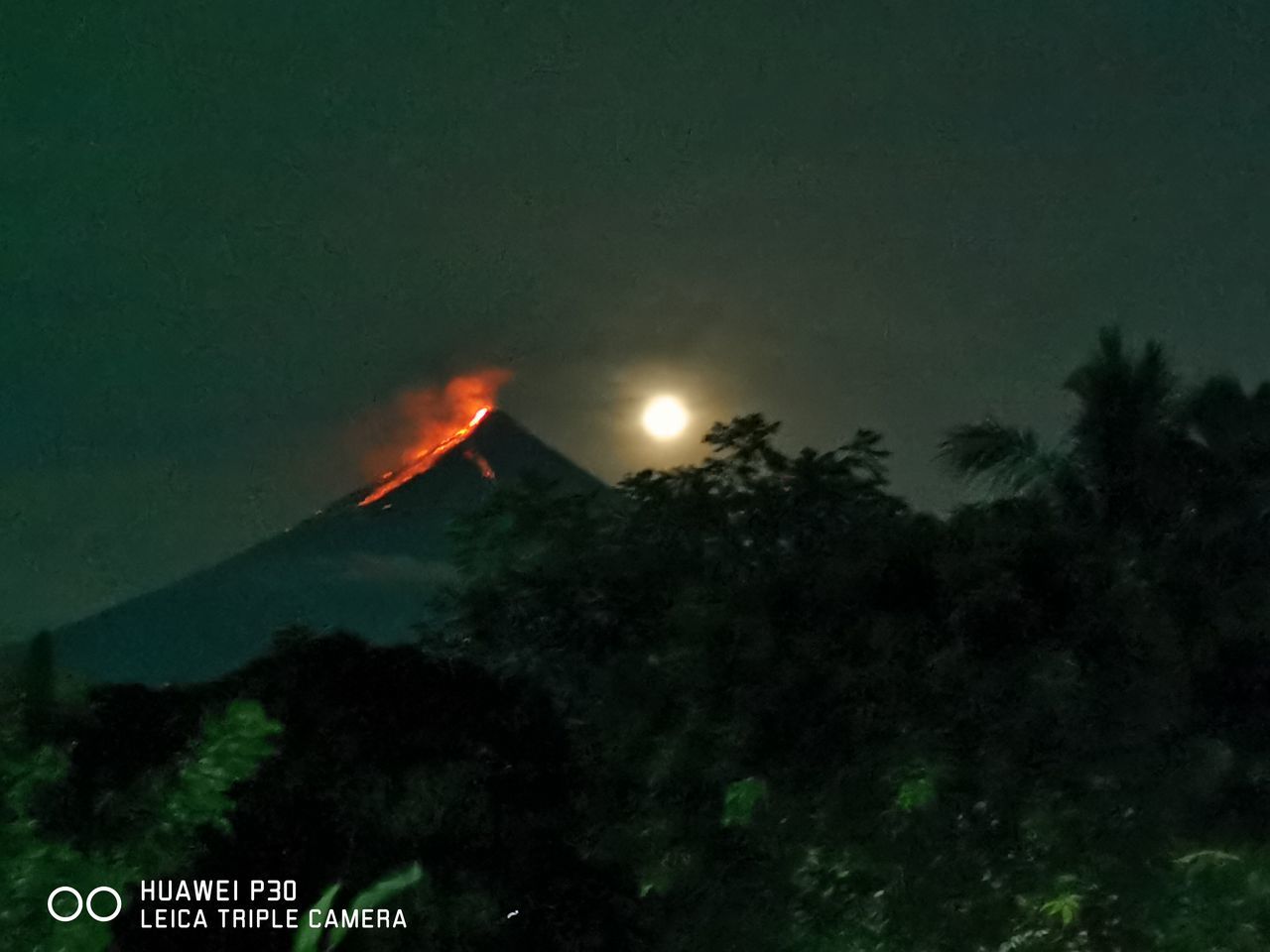 night, tree, plant, nature, no people, mountain, sky, communication, beauty in nature, land, sign, volcano, outdoors, environment, scenics - nature