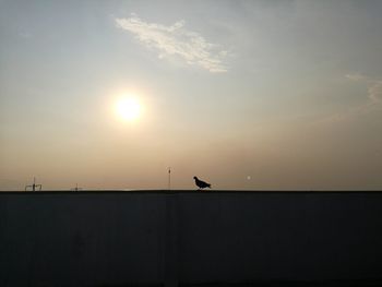 Silhouette birds flying against sky during sunset