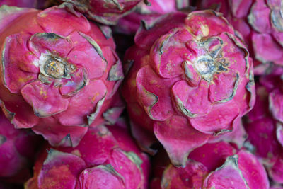 Full frame shot of pink roses in market
