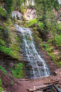 Scenic view of waterfall in forest