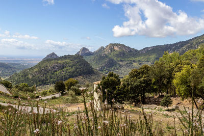 Scenic view at landscape from coll de soller, mallorca