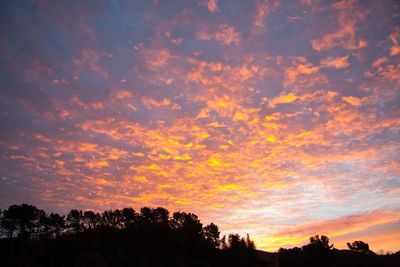 Low angle view of silhouette trees against sky at sunset