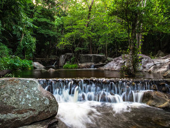 Scenic view of waterfall in forest