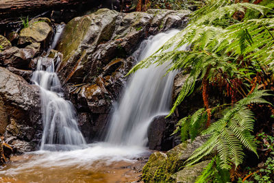 Scenic view of waterfall