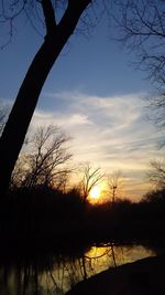 Silhouette of bare tree in lake during sunset