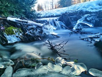 Frozen lake by trees during winter