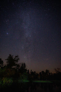 Silhouette trees against sky at night