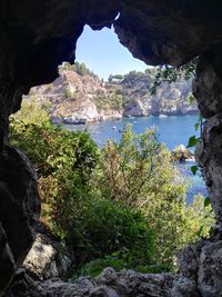 Close-up of plants by sea against sky