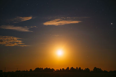 Low angle view of silhouette trees against sky during sunset