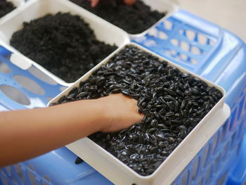 A baby girl's hand putting in a water with lots of sunflower seeds, while learning to plant them 