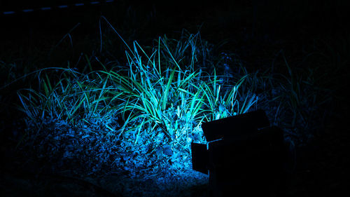 Close-up of light trails on field at night