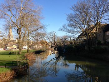 Reflection of trees in water