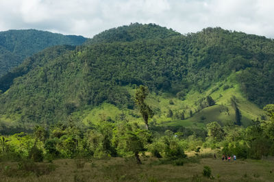 Scenic view of tree mountains against sky