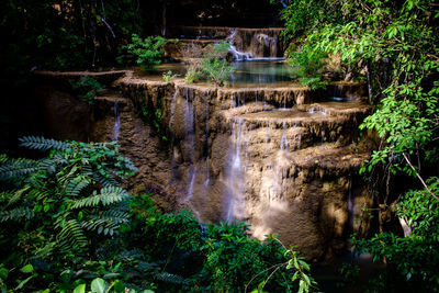 Scenic view of waterfall in forest