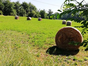 Hay bales on field against sky