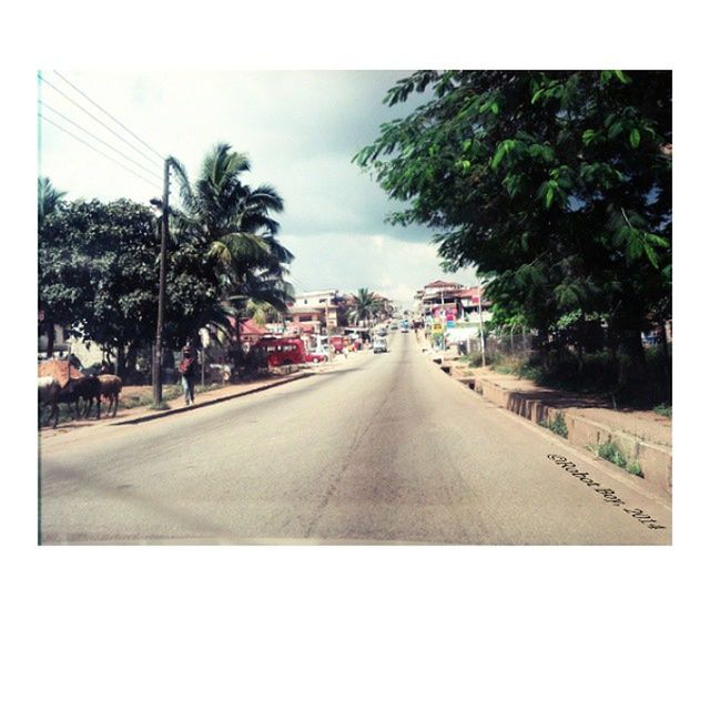 transfer print, the way forward, transportation, road, diminishing perspective, tree, auto post production filter, road marking, vanishing point, sky, street, empty, car, treelined, outdoors, day, growth, asphalt, cloud - sky, no people