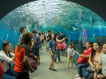 Group of people swimming in aquarium