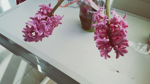 Close-up of pink roses