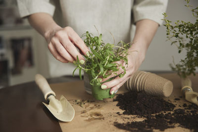 Woman planting herbs