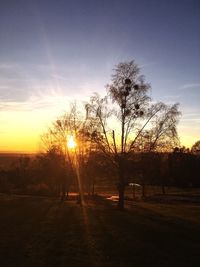 Silhouette trees on field against sky at sunset