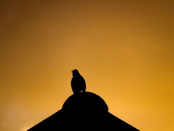 Silhouette bird perching on rock against sky during sunset