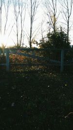 Bare trees on field against sky during sunset