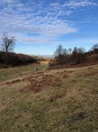 Scenic view of field against sky