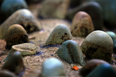 Close-up of stones