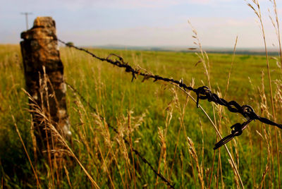 Barbed wire fence on field