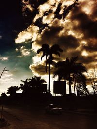 Low angle view of palm trees against cloudy sky