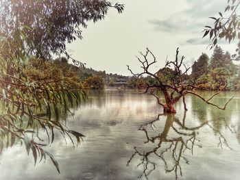 Scenic view of lake against sky