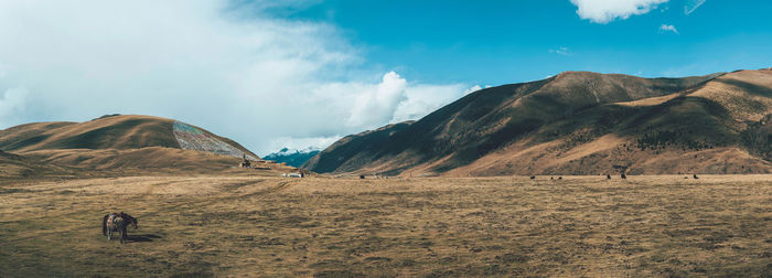 Scenic view of landscape against blue sky