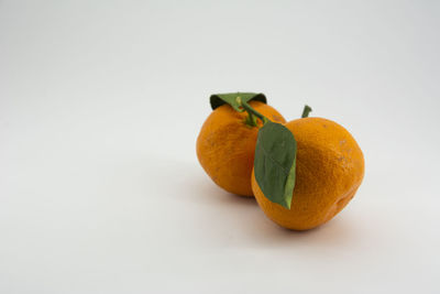 Close-up of orange fruit against white background