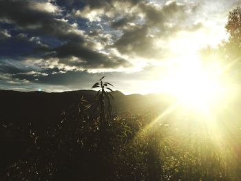 Scenic view of field against sky at sunset