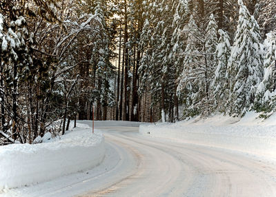 Snow covered road amidst trees during winter