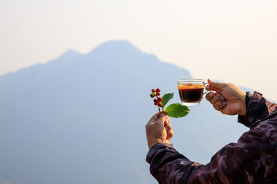 Cherry raw coffee bean and hot coffee cup on holding hand and natural mountain on white background 