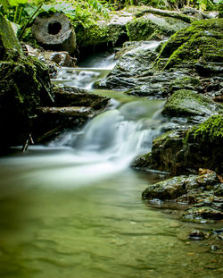 Stream flowing through rocks in forest