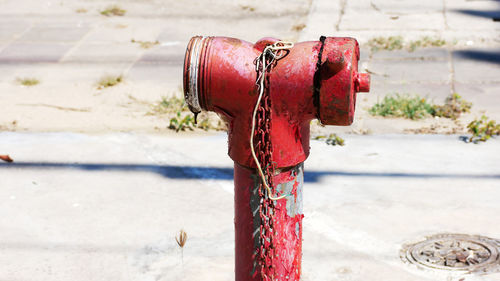 Close-up of fire hydrant