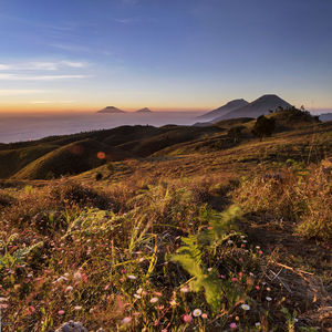 Scenic view of landscape against cloudy sky