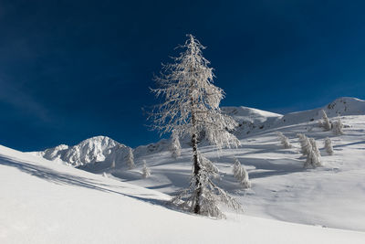 Snow covered mountain against sky