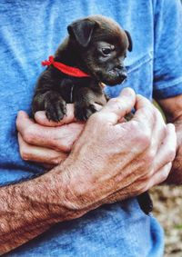 Midsection of man holding puppy