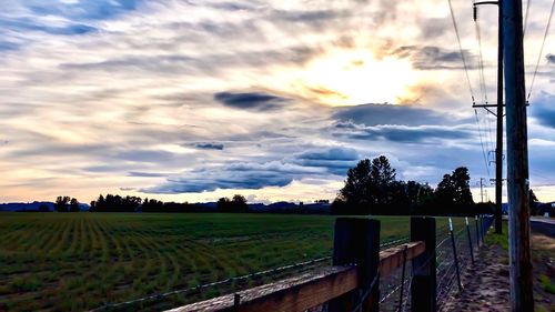 Scenic view of field against sky