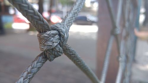 Close-up of a knot outdoors