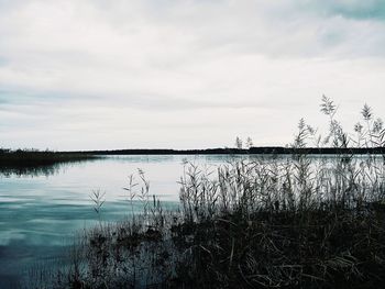Scenic view of lake against sky