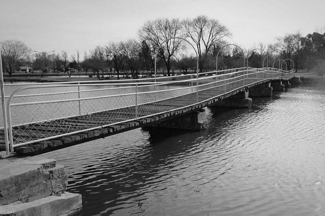 water, tree, connection, bridge - man made structure, river, clear sky, built structure, railing, bridge, transportation, nature, tranquility, architecture, canal, footbridge, outdoors, day, no people, sunlight, tranquil scene