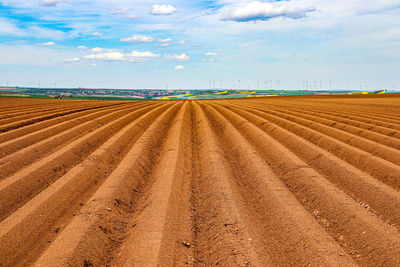 Scenic view of agricultural field against sky