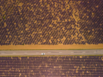 Aerial view of road amidst field